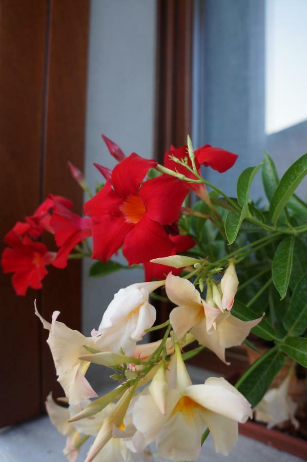 La Brigata Apartments Suite Room Cavallino-Treporti Dış mekan fotoğraf
